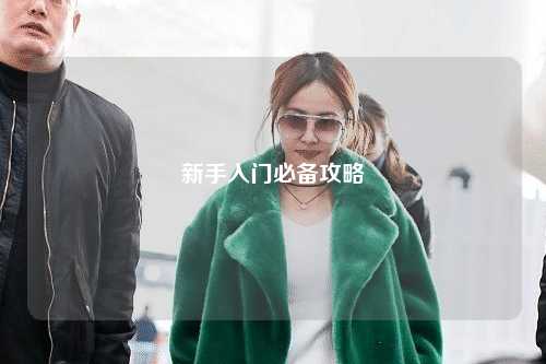 新手入门必备攻略