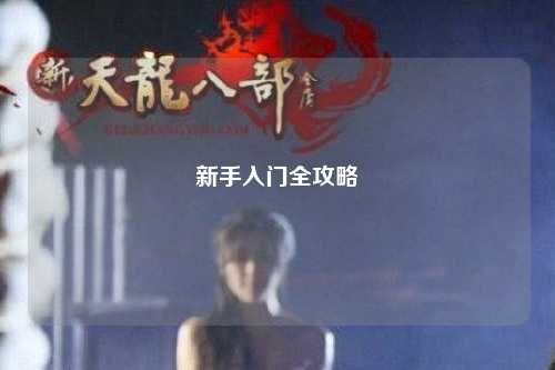 新手入门全攻略