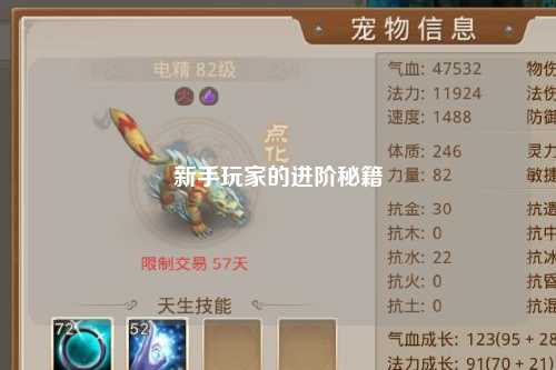 新手玩家的进阶秘籍