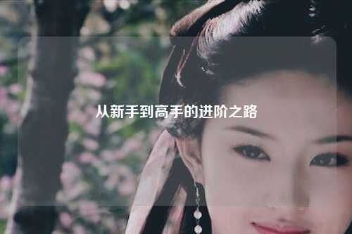 从新手到高手的进阶之路