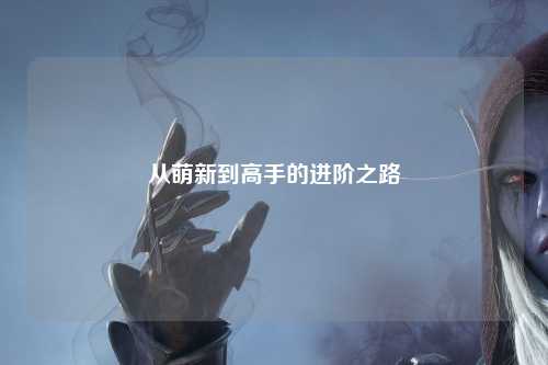 从萌新到高手的进阶之路