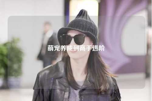 萌宠养成到高手进阶