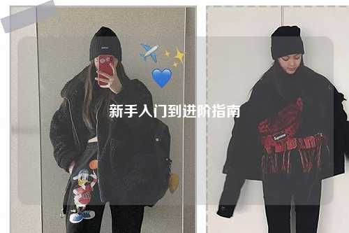 新手入门到进阶指南