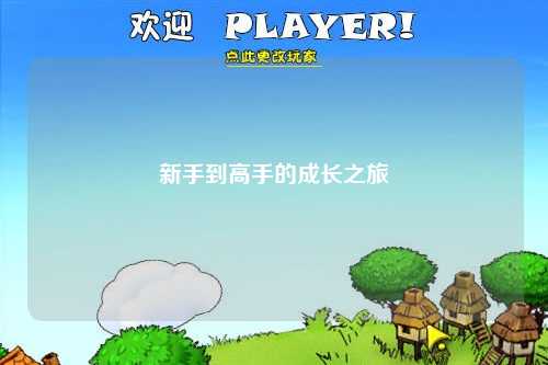 新手到高手的成长之旅