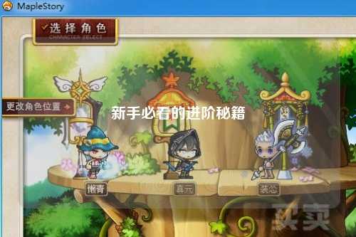 新手必看的进阶秘籍