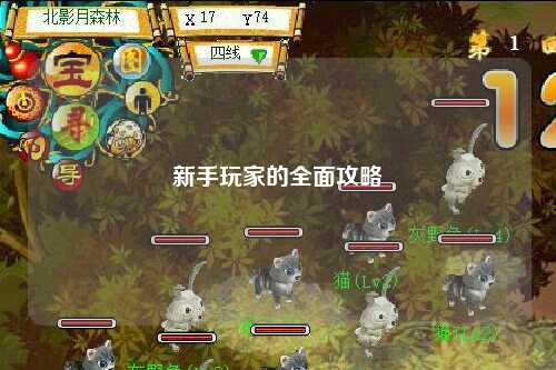 新手玩家的全面攻略