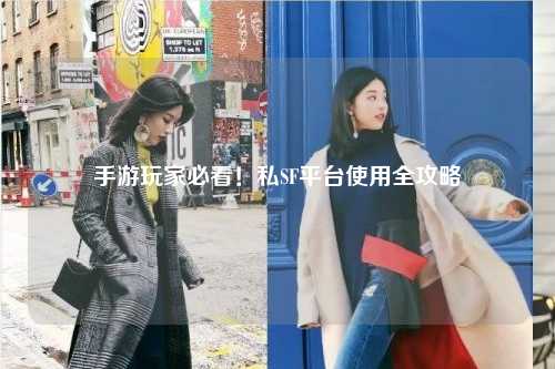 手游玩家必看！私SF平台使用全攻略