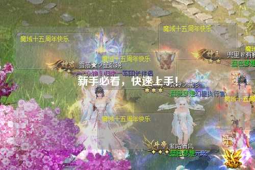 新手必看，快速上手！