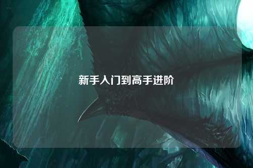 新手入门到高手进阶