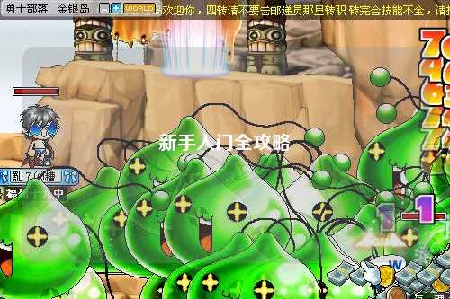 新手入门全攻略