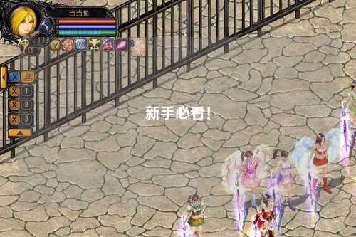 新手必看！