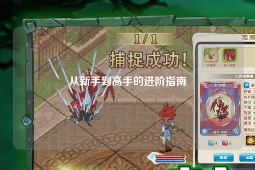 从新手到高手的进阶指南