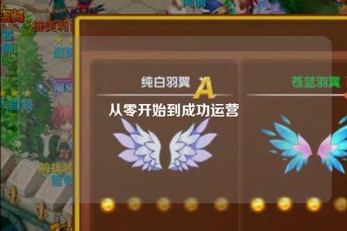 从零开始到成功运营