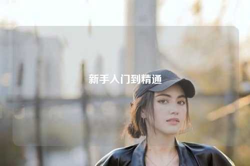 新手入门到精通