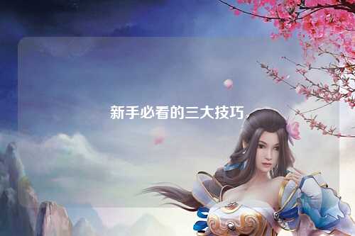 新手必看的三大技巧
