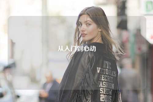 从入门到心动