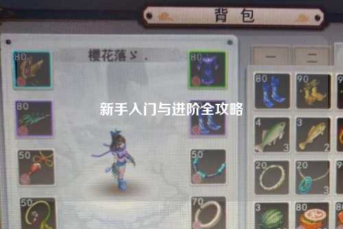 新手入门与进阶全攻略