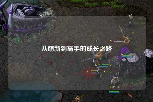 从萌新到高手的成长之路