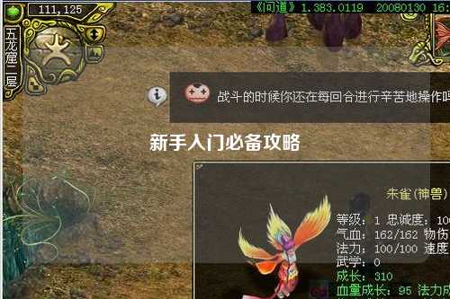 新手入门必备攻略