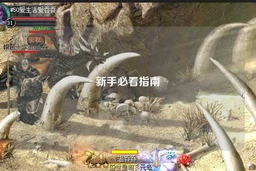 新手必看指南