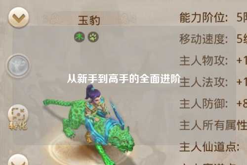 从新手到高手的全面进阶