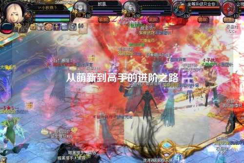 从萌新到高手的进阶之路
