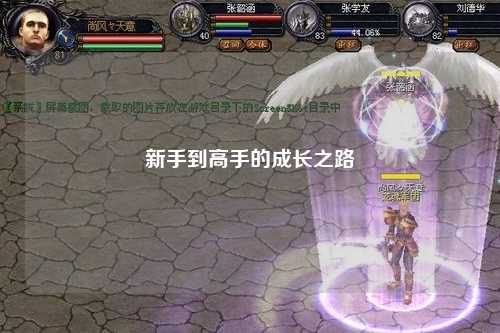 新手到高手的成长之路