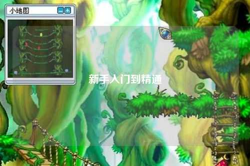新手入门到精通