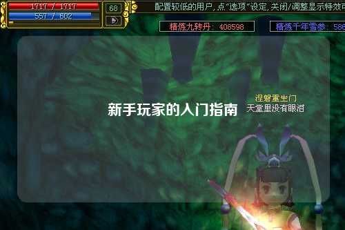 新手玩家的入门指南