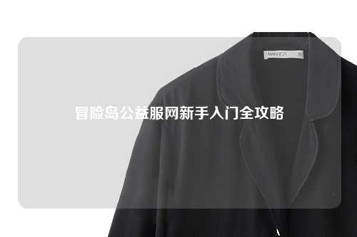 冒险岛公益服网新手入门全攻略
