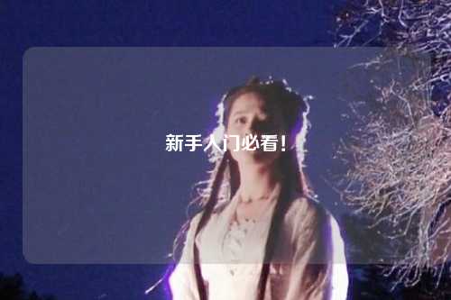 新手入门必看！