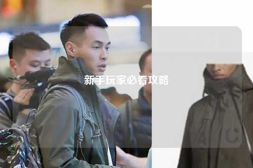 新手玩家必看攻略