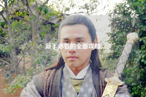 新手必看的全面攻略