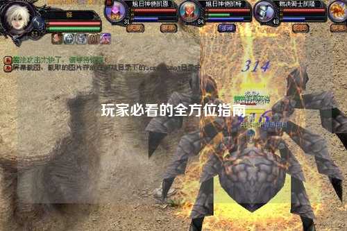 玩家必看的全方位指南