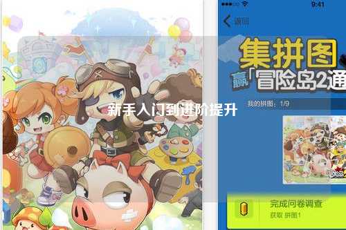 新手入门到进阶提升