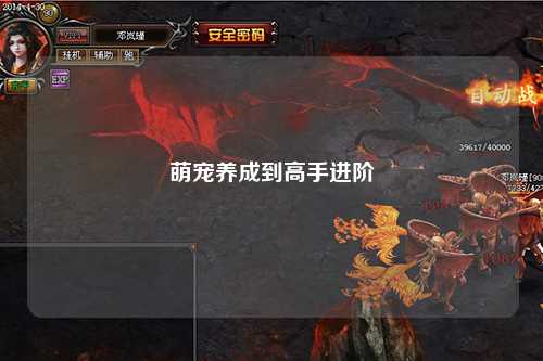 萌宠养成到高手进阶