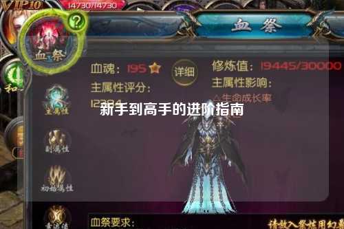 新手到高手的进阶指南