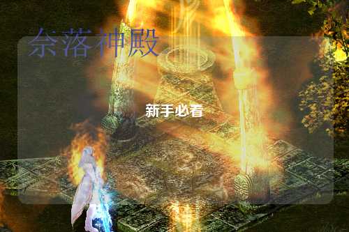 新手必看
