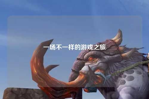 一场不一样的游戏之旅