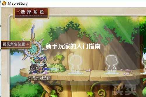 新手玩家的入门指南