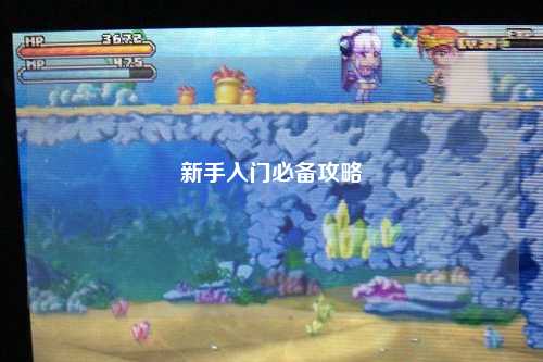 新手入门必备攻略