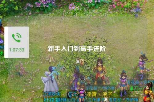 新手入门到高手进阶