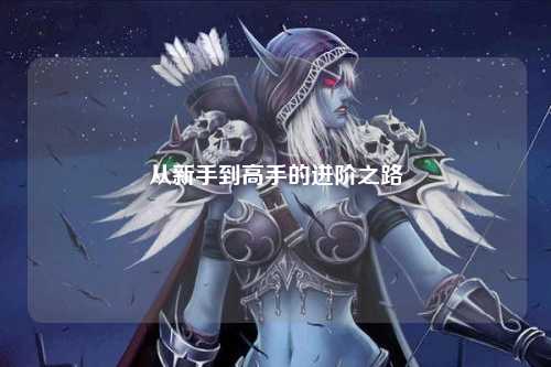 从新手到高手的进阶之路