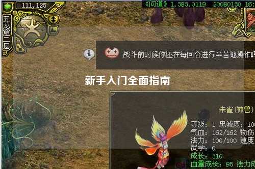 新手入门全面指南
