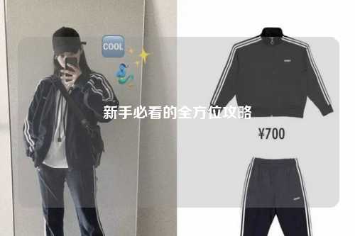 新手必看的全方位攻略