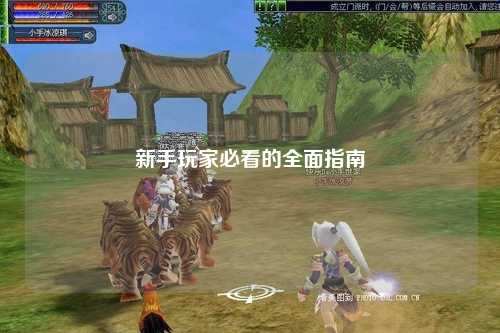 新手玩家必看的全面指南
