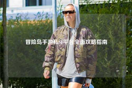 冒险岛手游私SF平台全面攻略指南
