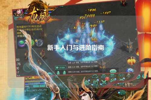 新手入门与进阶指南