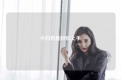 小白也能轻松上手