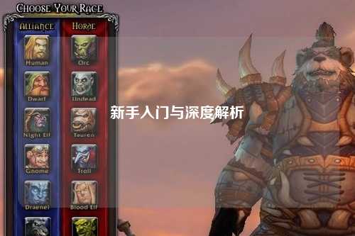 新手入门与深度解析